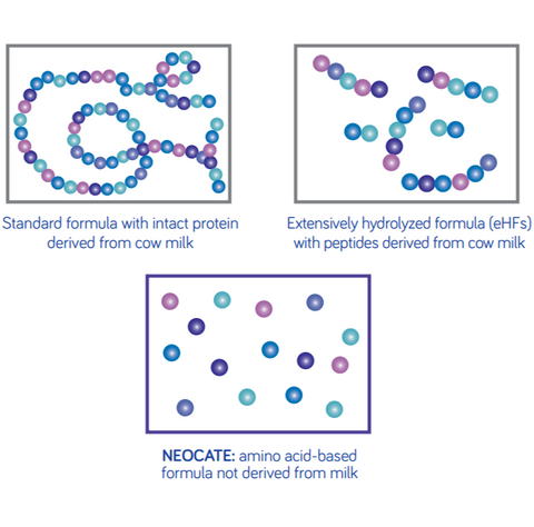 Neocate LCP紐康特 LCP